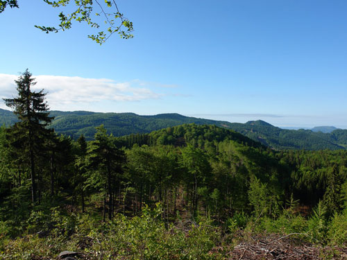 Foto vedere spre varf (c) Petru Goja